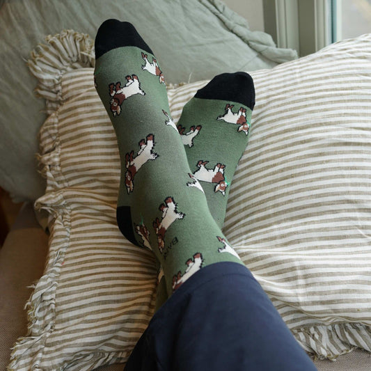 Why Bamboo Socks? The Sustainable Alternative to Cotton