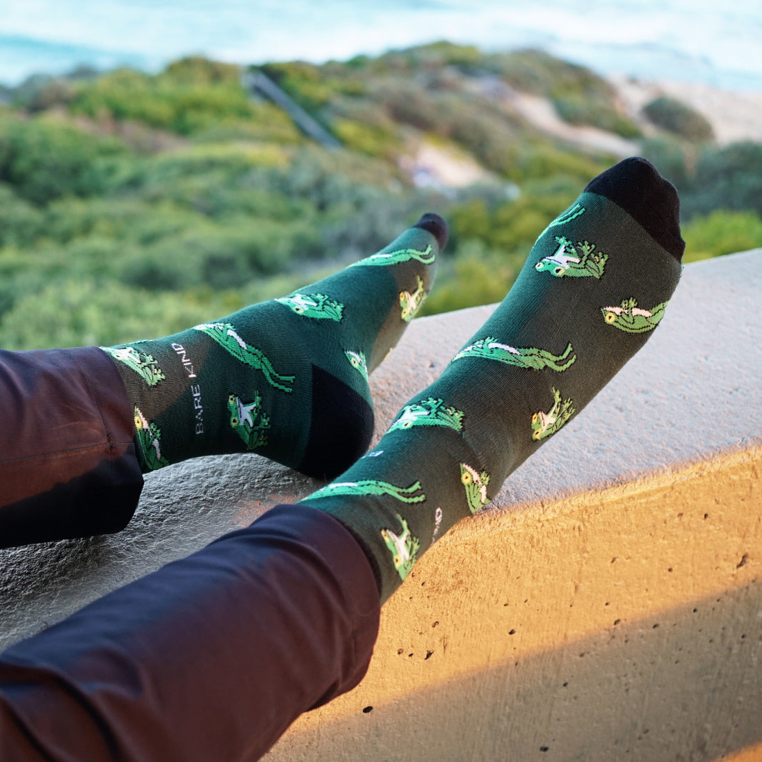 Save the Tree Frog Bamboo Socks - Sav's Store